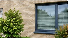 Gevel met raam en groen